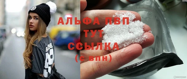 ECSTASY Михайлов