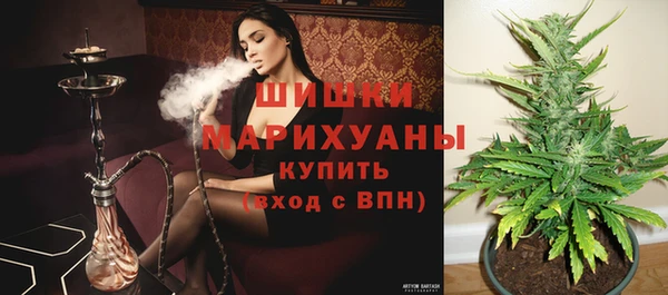 дмт Михайловск