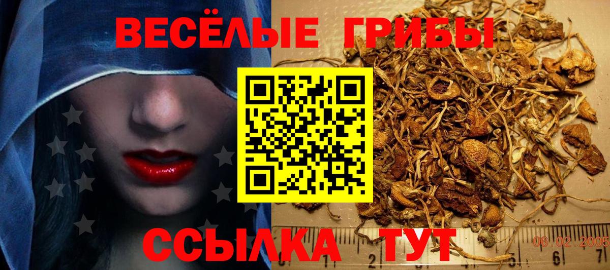 продажа наркотиков  Псилоцибиновые грибы MAGIC MUSHROOMS  Ульяновск  Галлюциногенные грибы Magic Shrooms 