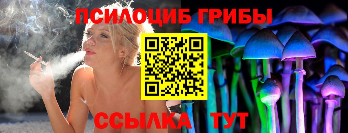 Галлюциногенные грибы GOLDEN TEACHER  купить закладку  Вход с VPN  Ульяновск  Псилоцибиновые грибы GOLDEN TEACHER 