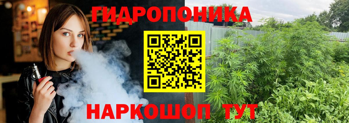 Бошки марихуана VHQ  Марихуана AK-47  Ульяновск  Вход с VPN  Марихуана VHQ 
